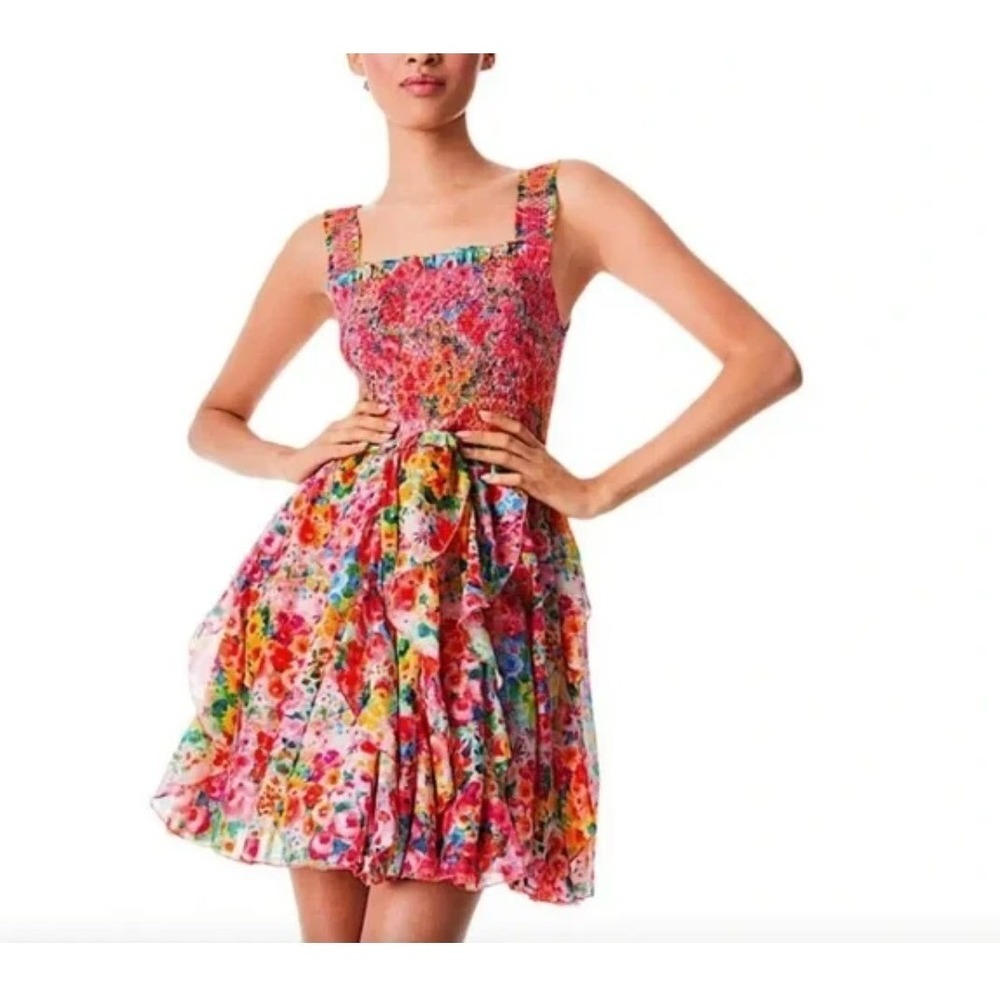 Alice + Olivia Jocelyn Floral Smocked Ruffle Minidress In Garden Floral Size 10